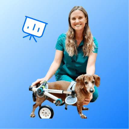 Find Market Research