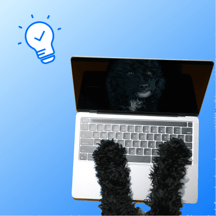 Find Freelance Writers & Vets